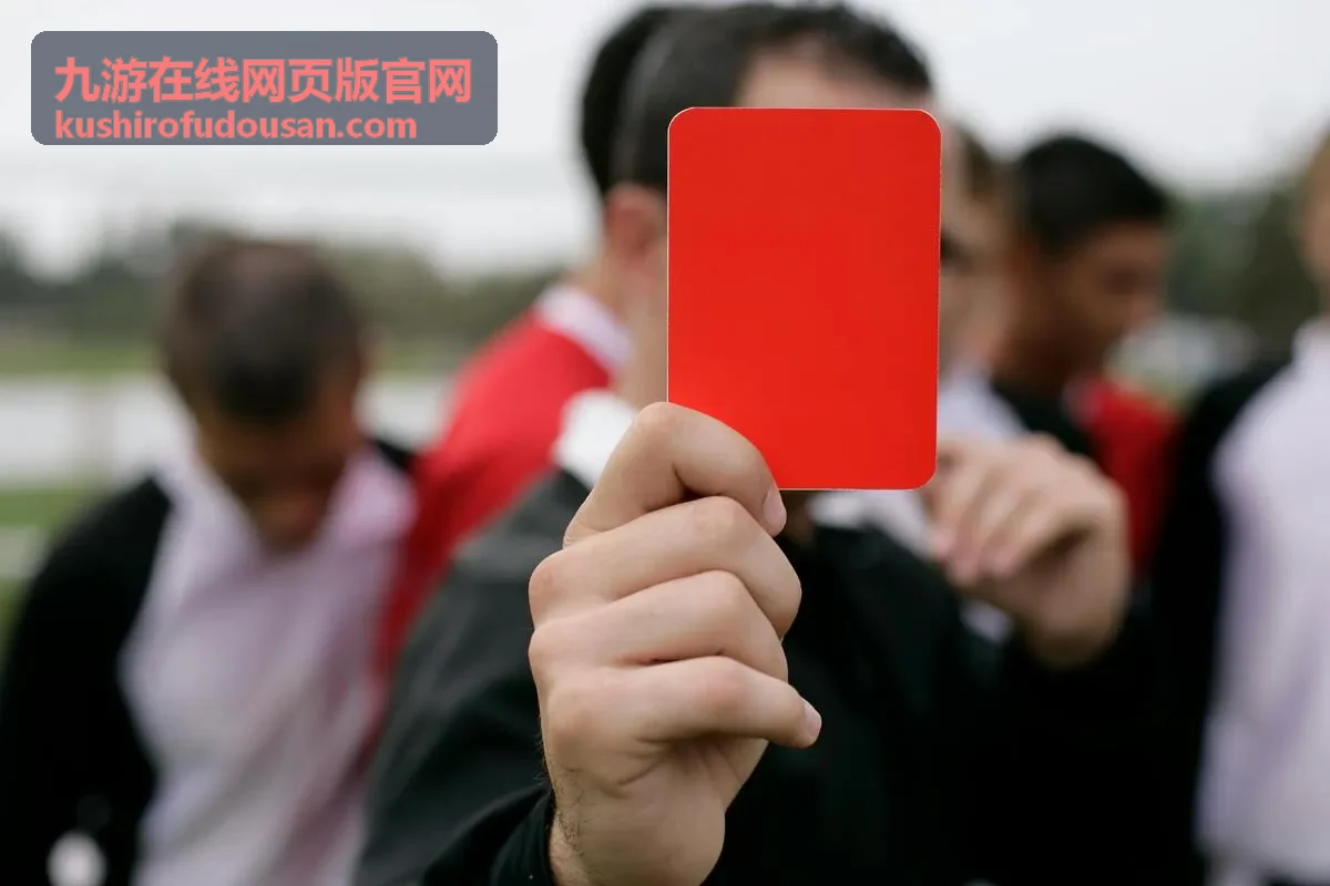 九游在线网页版官网设置与画面调节界面截图